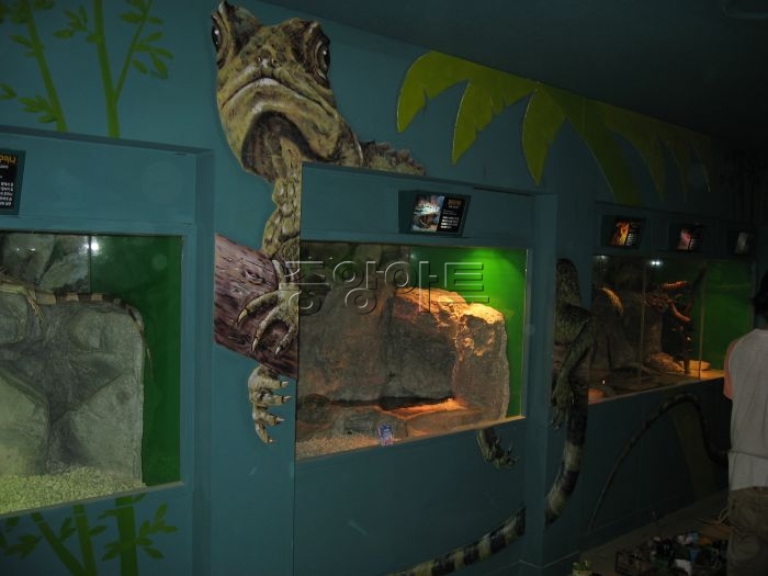 63 Building SeaWorld - 파충류관.JPG