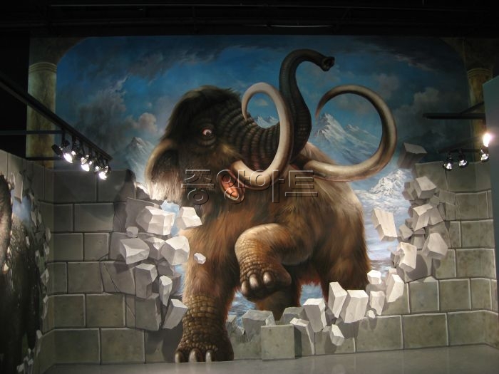 제주성산 TrickArt Museum 17.JPG